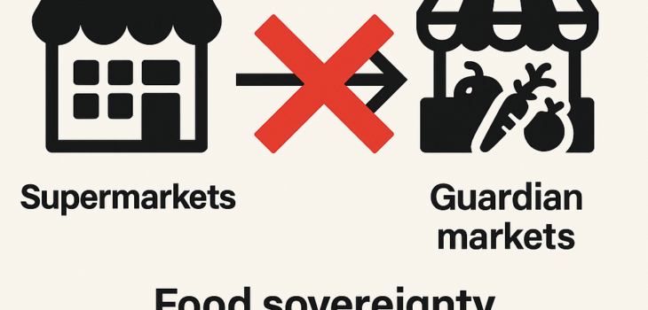 Daily Planet Club |Members’ Handbook — Chapter 5: